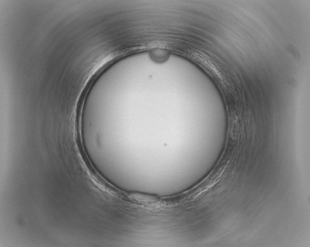 X0000115831087200912041643