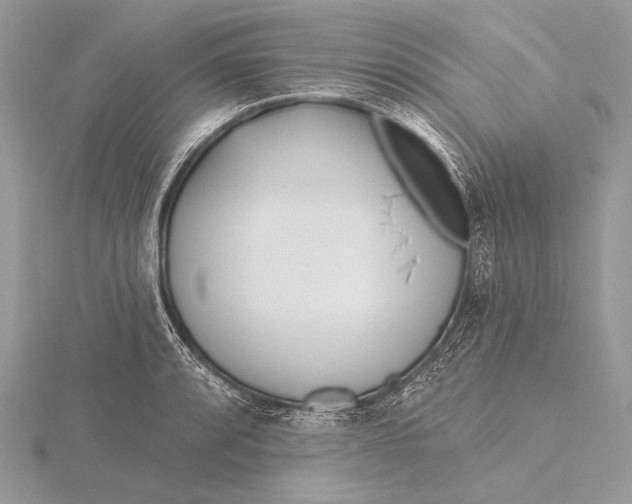 X0000115831088200912041643