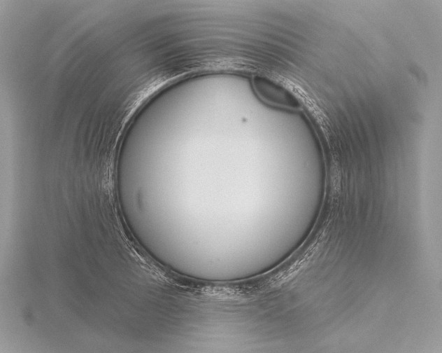 X0000115831089200912041643