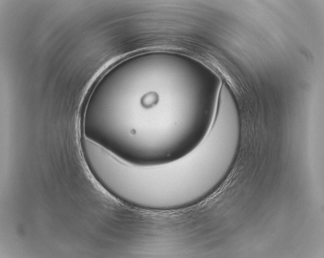 X0000115831092200912041643