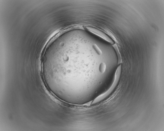 X0000115831095200912041643