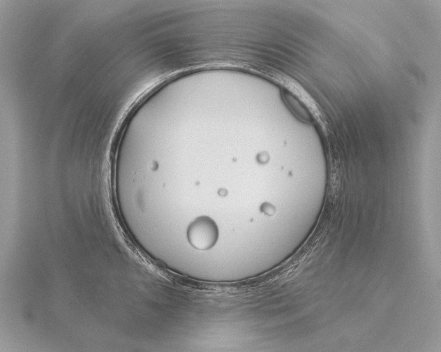 X0000115831096200912041642