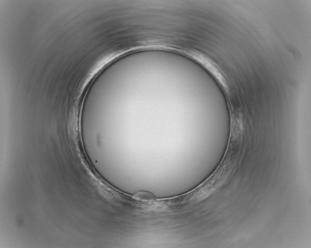 X0000115831101200912041642