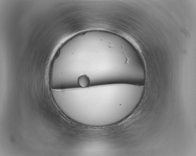 X0000115831104200912041642