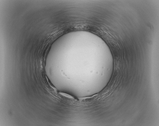 X0000115831106200912041642