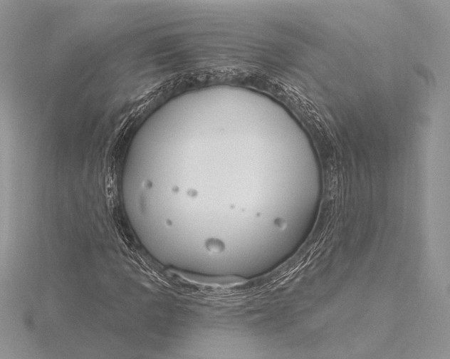 X0000115831109200912041642