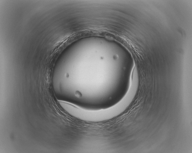 X0000115831110200912041642