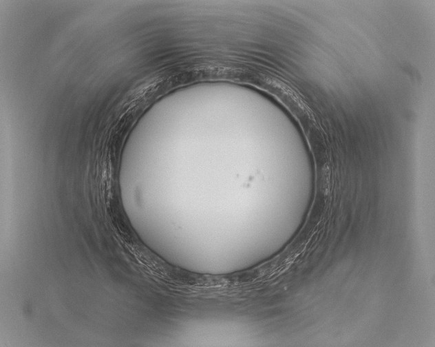 X0000115831111200912041642