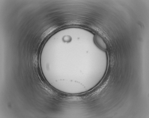 X0000115831113200912041642