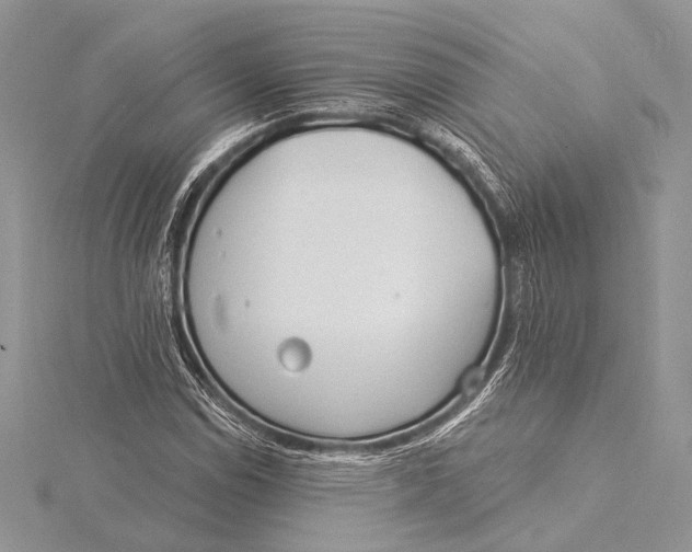 X0000115831114200912041642