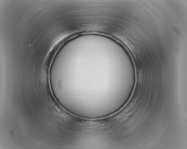 X0000115831115200912041642