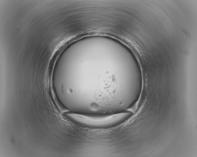 X0000115831117200912041642