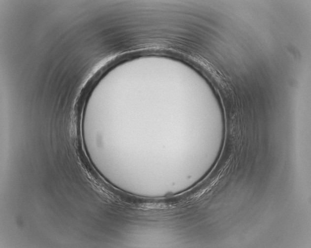 X0000115831118200912041642