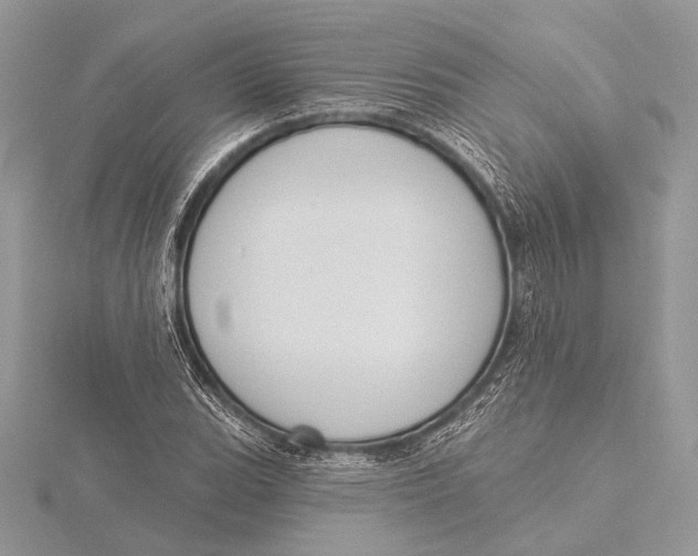 X0000115831119200912041642