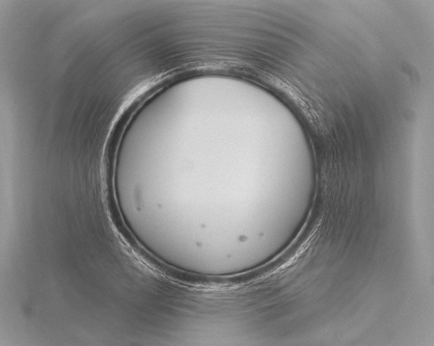 X0000115831122200912041642