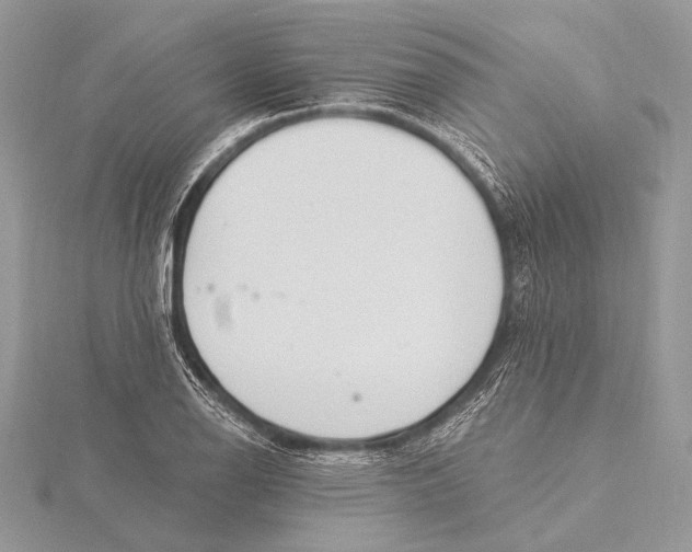 X0000115831126200912041642