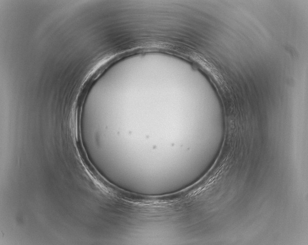 X0000115831127200912041642