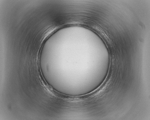 X0000115831129200912041642