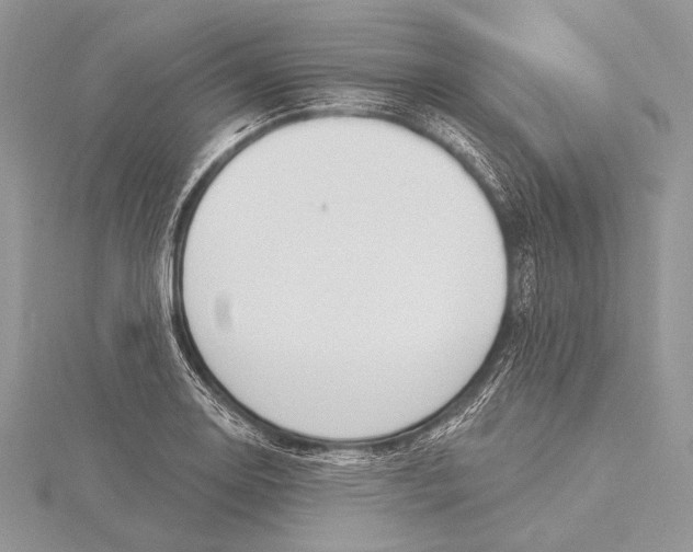 X0000115831130200912041642