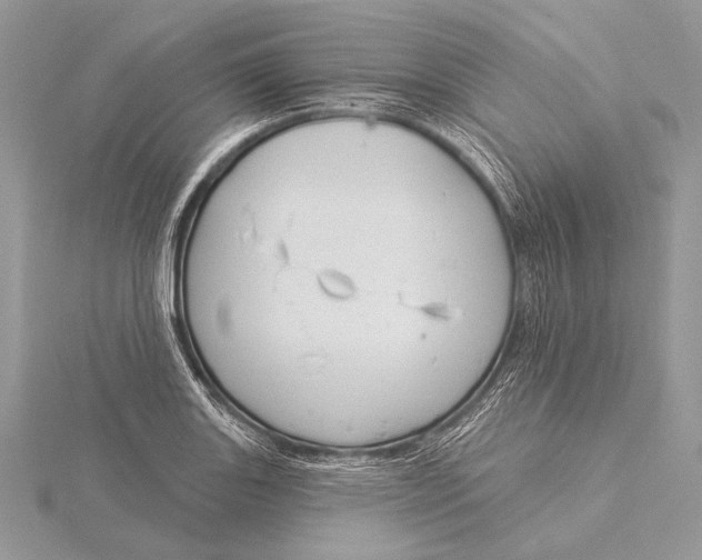 X0000115831131200912041642