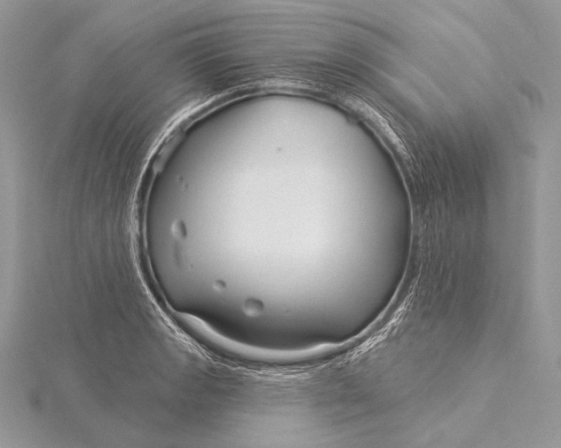 X0000115831133200912041642