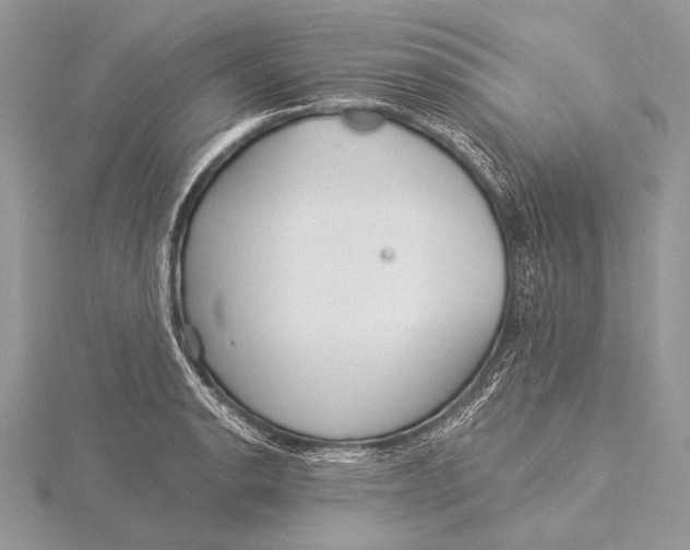 X0000115831134200912041642