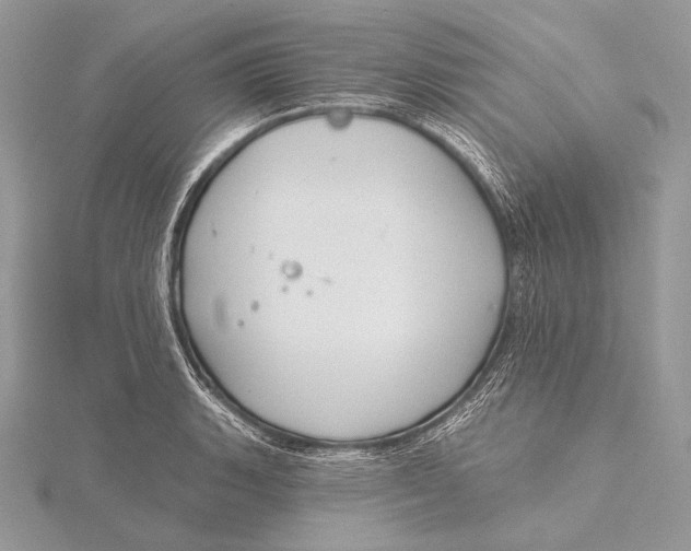 X0000115831135200912041642