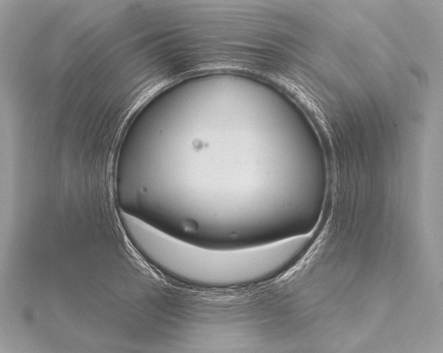 X0000115831137200912041642