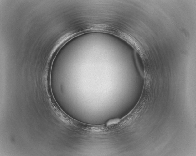 X0000115831138200912041642