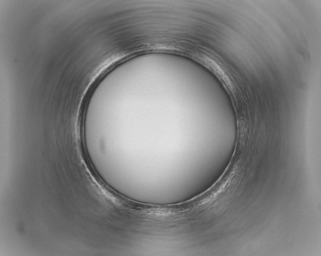 X0000115831141200912041642