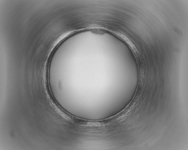 X0000115831142200912041642