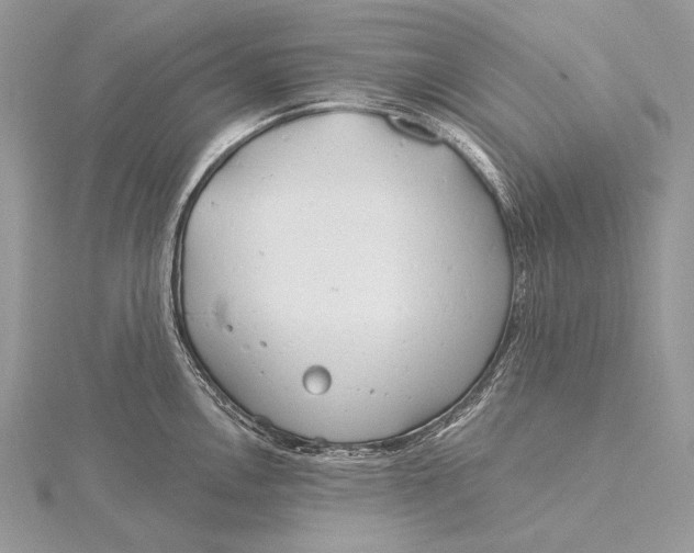 X0000115831146200912041642