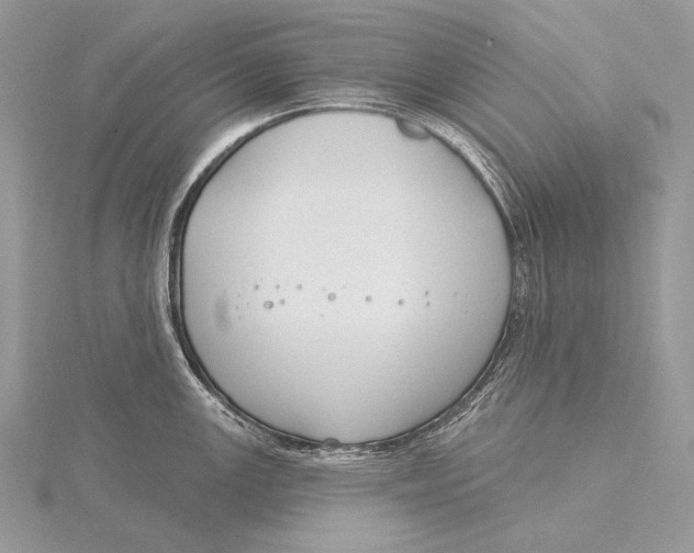 X0000115831147200912041642