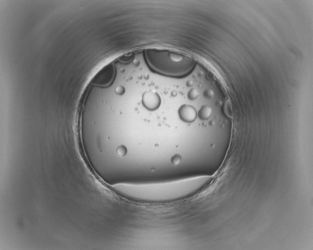 X0000115831149200912041642