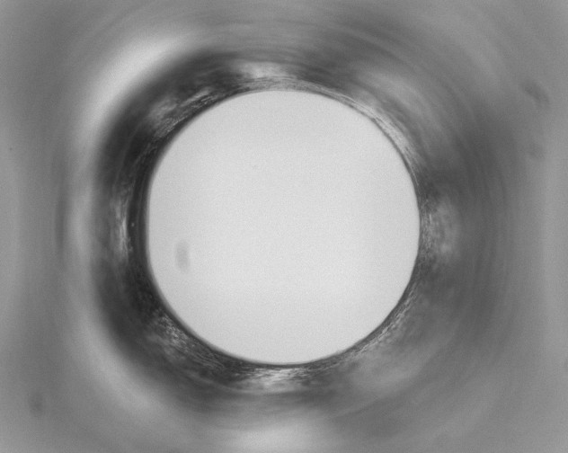 X0000115831150200912041642