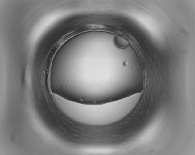 X0000115831151200912041642