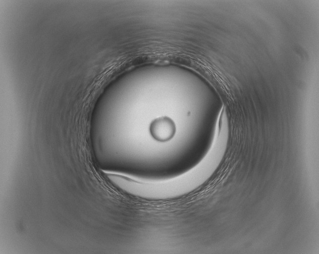 X0000115831153200912041642