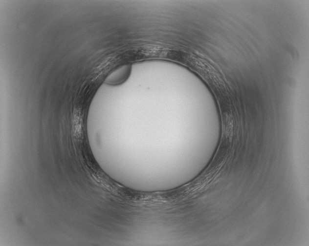 X0000115831154200912041642