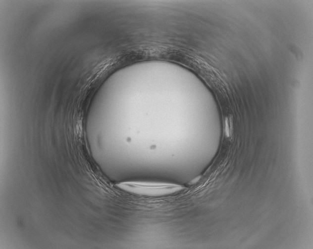 X0000115831155200912041642