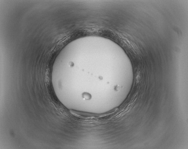 X0000115831156200912041642