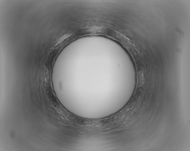 X0000115831158200912041642