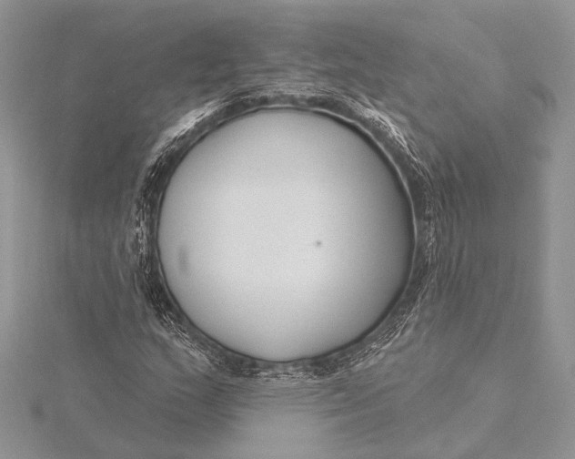 X0000115831159200912041642