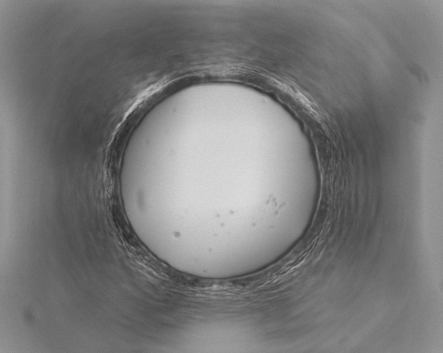 X0000115831160200912041642