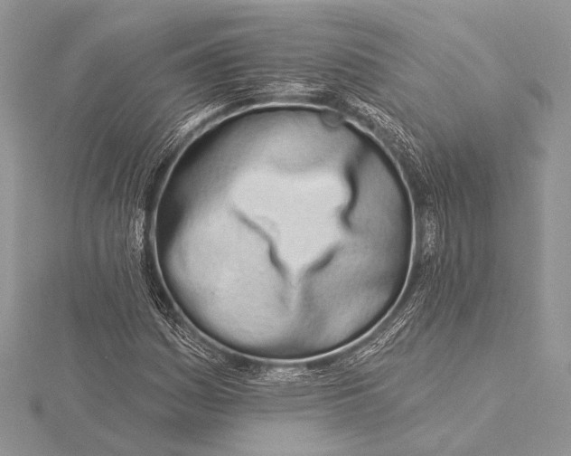 X0000115831161200912041642