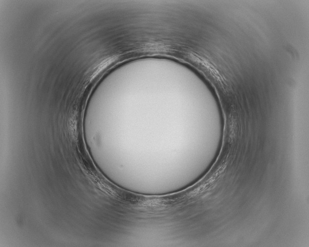 X0000115831162200912041642