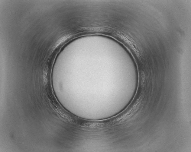 X0000115831163200912041642