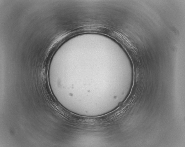 X0000115831164200912041642