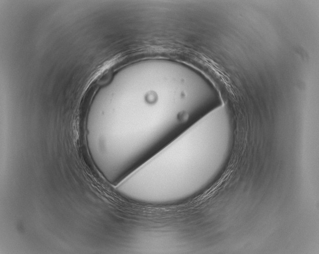 X0000115831165200912041642