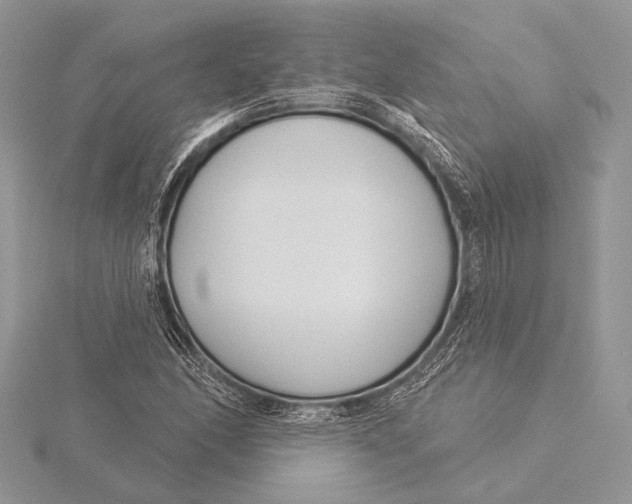 X0000115831166200912041642