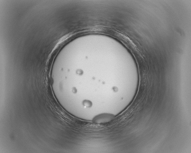 X0000115831168200912041642